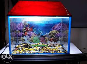 Fish Aquarium tank with pebbles oxygen pump and