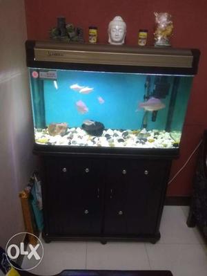 Fish Aquarium with all Accessories and 7 fishes. 2.5 Feet &