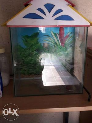 Fish Tank White And Blue Framed 1.5 inches with Background