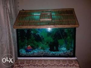 Fish Tank with all equipment