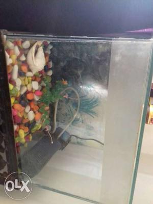 Fish aquarium with pump accessories heater and stand