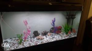 Fish tank 4 feets