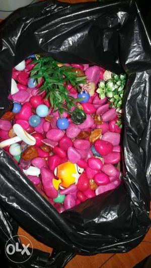 Fish tank with pink color pebbles inch