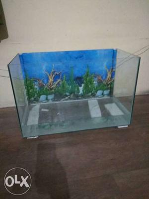 Fresh Water Aquarium Case Size  with