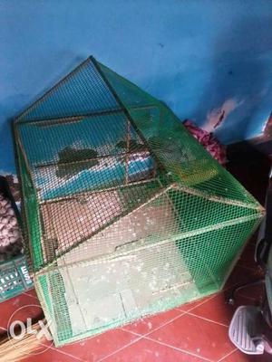 Green Mesh Birdcage