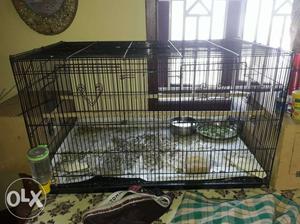 Huge size bird cage at low price