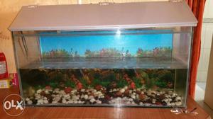 I am interested to sell my fish tank of Size-91cm