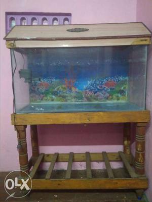 I sell my fish tank with filter motor,wooden
