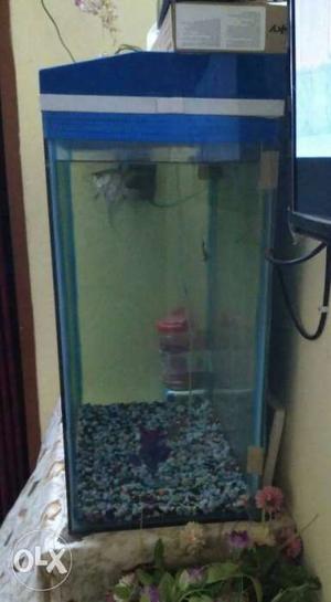 I want to sale my aquirium. With stone and moter.