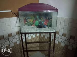 Maroon-framed Clear Fish Tank