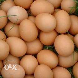 Natu eggs for sale pure Organic full tray 500 only