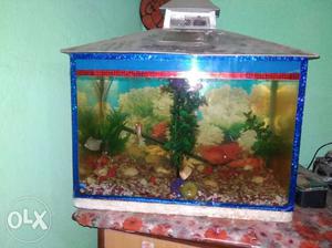 One and half feet aquerium for sale fish excluded
