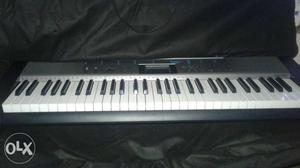 Casio CTK  Electronic Keyboard with stand and bag.