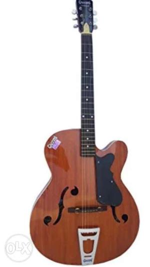 Gitar givson g 215 f cut