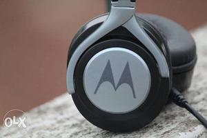 Gray And Black Motorola Headphones