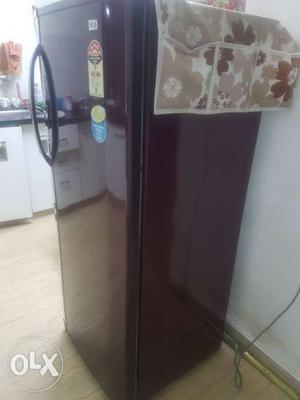 LG 220 ltr works without stabilizer, electricity