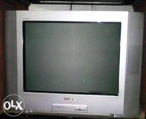 Sony tv (24 inches)