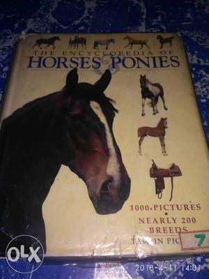 The Encyclopedia Of Horses Ponies Book