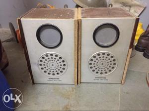 Two Grey Stereo Speakers