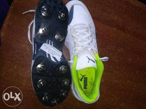 A brand new pair of PUMA spike shoe of size 6,for