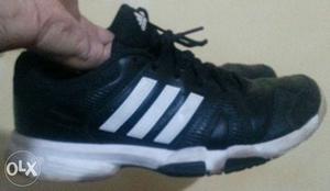 ADIDAS Shues in brand new condition.Size 9.