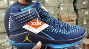 Blue Air Jordan Basketball Shoe