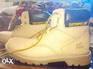 Cat, Caterpillar Shoe, 43 Size, Bought it from