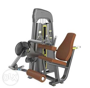 Muscles Worked in a Seated Leg Curl Commercial Machine