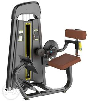 Commercial Back Extension Machine Available For Bolsfit