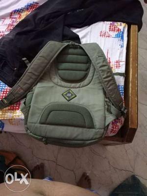 Skybag Green school or laptop Backpack with 4 chain pockets