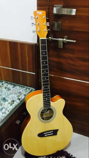 Yellow Venetian Cutaway Acoustic brand new Guitar
