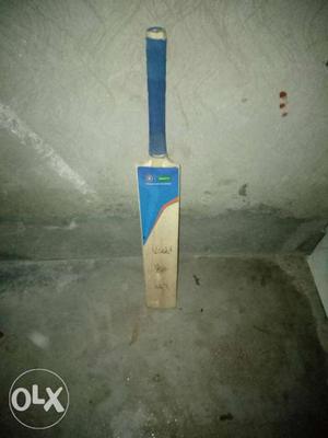 Brown And Blue Signed Cricket Bat