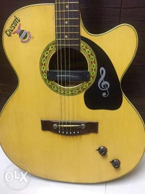 Givson Electro Acoustic Guitar with Cover