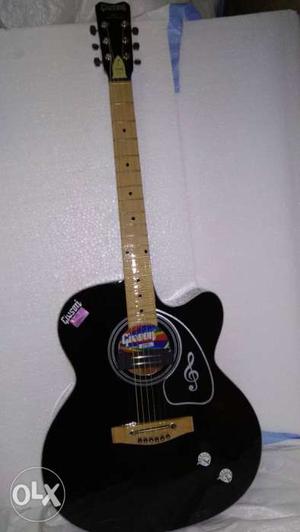 Givson venus super special acoustic guitar with