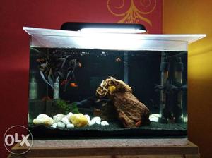 It's a acrylic moulded fish tank, only tank