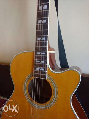Semi Accoustic Guitar from Hertz