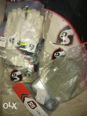 Sg batting gloves 2 sets & SS keeping glove 1 set & tie pad