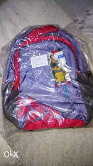 Skybags Purple And Blue Backpack Pack