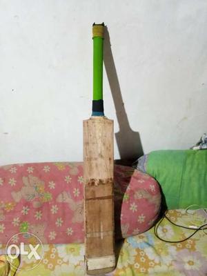 Ss impact kashmir willow 6 month use long handle