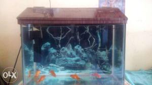 1.5 ft fish tank and filter bhi uske sath