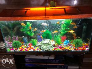 3" x 1" Fish tank with 20 different fishes