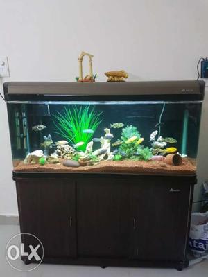 4ft sunsun aquarium with cabinet n full set for