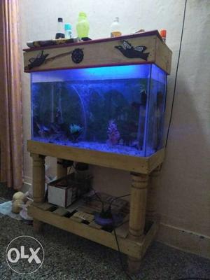 5 month old fish tank set for low price call me