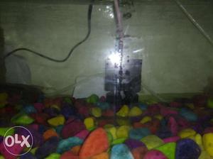 Aquarium for sell with cap,stones 3kgs, purified