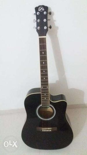 Aria acoustic guitar,with cover