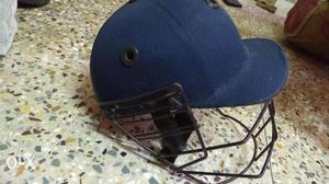 Cricket Helmet 1
