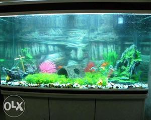 Fish Aquarium 3.5 Ft