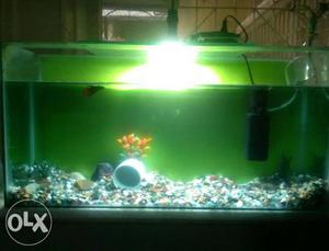 Fish Tank FOR SALE - in good condition along with