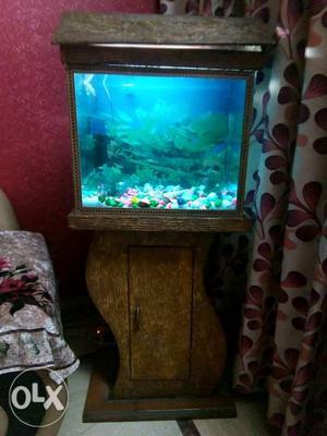 Fish aquarium 12x18 inch,