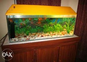 Fish aquarium 2 foots for sale